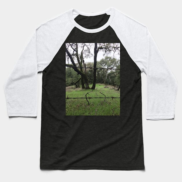 taylor mountain trees Baseball T-Shirt by auriel